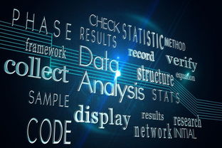 博拉網(wǎng)絡(luò)獲上交所問詢 大數(shù)據(jù)服務(wù)提供商的前路與挑戰(zhàn)