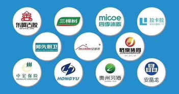 如何在眾多大數(shù)據(jù)營銷公司中慧眼識珠？選擇靠譜服務(wù)商的全面指南